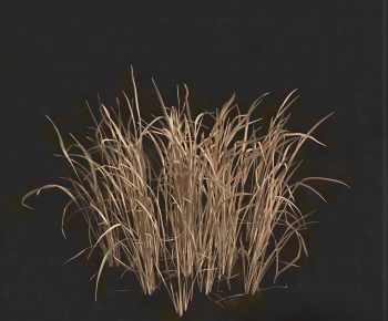 Modern The Grass-ID:285103083