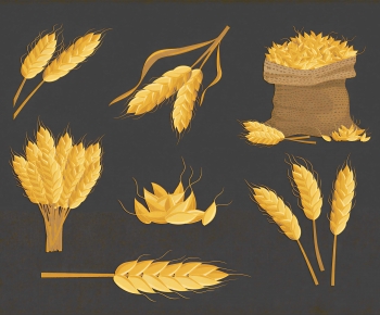 Modern Crop-ID:559870004