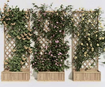 Modern Flower Bed, Flower Bowl, Flower Box-ID:719556094