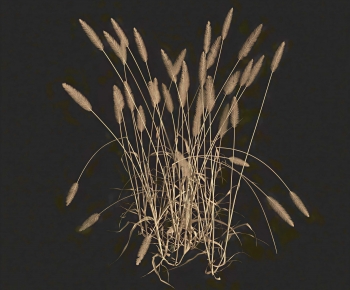 Modern The Grass-ID:734165918