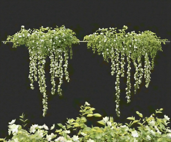 Modern Vine-ID:224980121