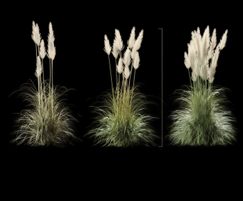 Modern The Grass-ID:442748076