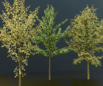 Modern Tree-ID:576137079