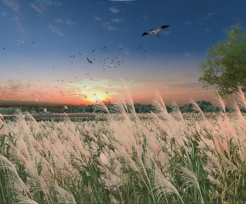 Modern Landscape-ID:888140922