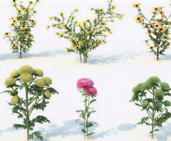 Modern Flowers And Grass-ID:764041903