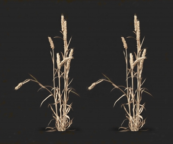 Modern Crop-ID:903940925
