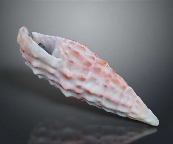 Modern Aquatic Animals-ID:417749883