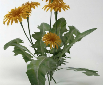 Modern Flowers And Grass-ID:115609225