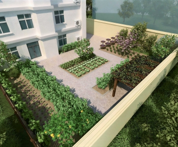 Modern Crop-ID:639119176