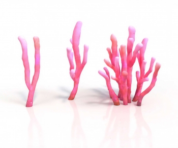 Modern Plant-ID:368839986