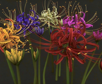 Modern Flowers And Grass-ID:871651899