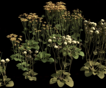 Modern Flowers And Grass-ID:666837938