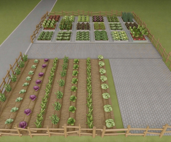 Modern Crop-ID:589502102