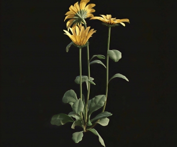 Modern Flowers And Grass-ID:716460943