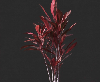 Modern Plant-ID:699326041