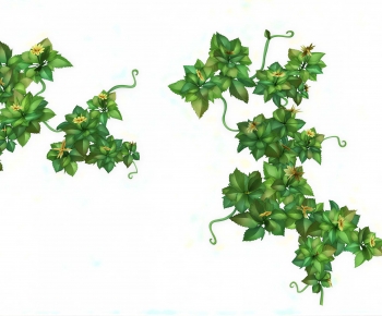 Modern Vine-ID:791459126
