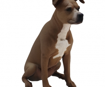 Modern Mammal-ID:495269333