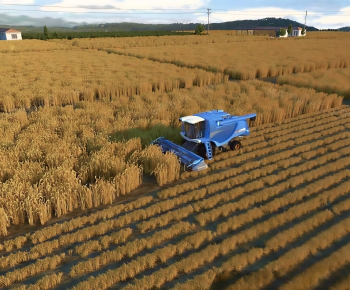 Modern Crop-ID:418087964