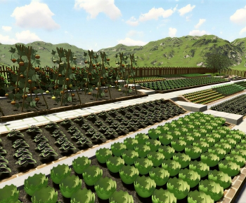 Modern Crop-ID:680747039