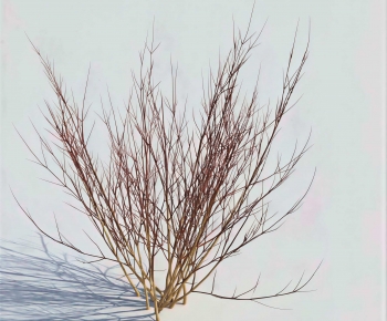 Modern Tree-ID:618319992