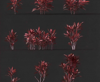 Modern Plant-ID:817312964