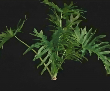Modern Flowers And Grass-ID:982070927