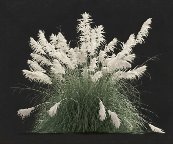 Modern The Grass-ID:374149089
