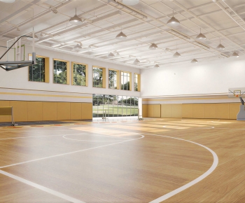Modern Basketball Arena-ID:653696062