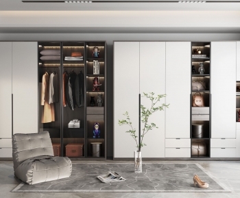 Modern Clothes Storage Area-ID:510406978