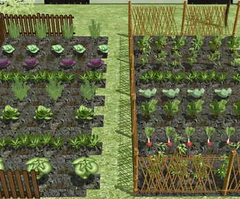 Modern Crop-ID:221434126