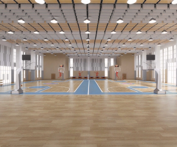Modern Basketball Arena-ID:794009926