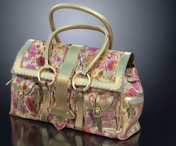 Modern Lady's Bag-ID:834137923