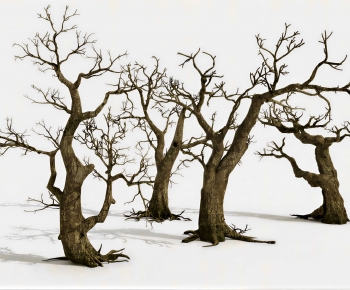 Modern Tree-ID:855573895