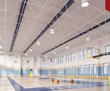Modern Basketball Arena-ID:883312943