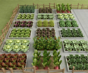 Modern Crop-ID:606689935