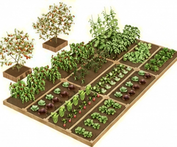 Modern Crop-ID:136338003