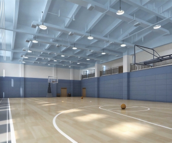 Modern Basketball Arena-ID:317907094