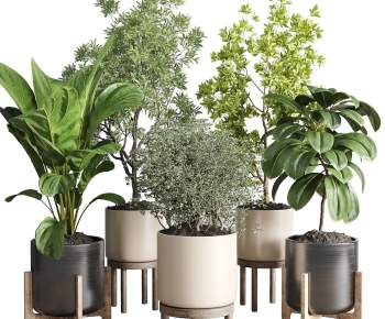 Modern Ground Green Plant Potted Plants-ID:546345002