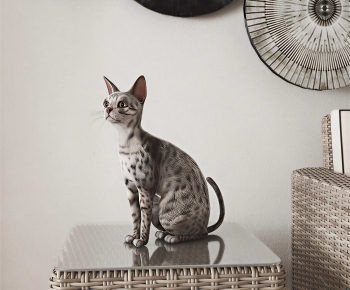 Modern Animal Cat-ID:380590921