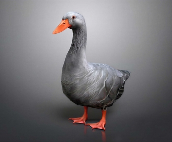 Modern Animal Duck-ID:407829056