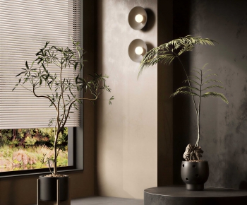 Modern Bonsai-ID:491853009