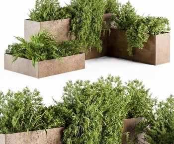 Modern Flower Bed, Flower Bowl, Flower Box-ID:462235939