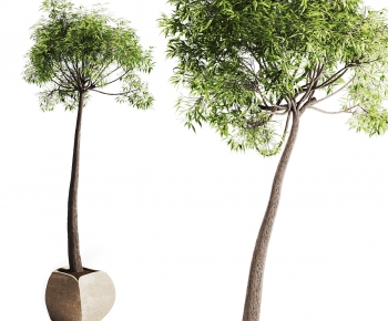 Modern Ground Green Plant Potted Plants-ID:104837893
