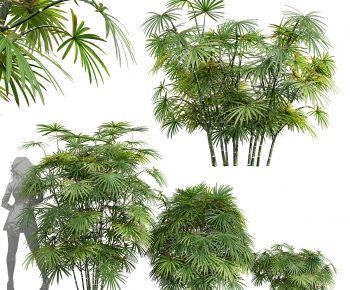 Modern Plant Pile-ID:637725116