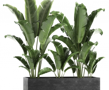 Modern Flower Bed, Flower Bowl, Flower Box-ID:136650096
