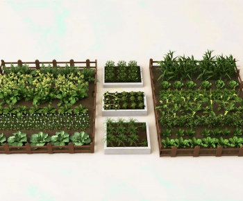 Modern Crop-ID:616835123