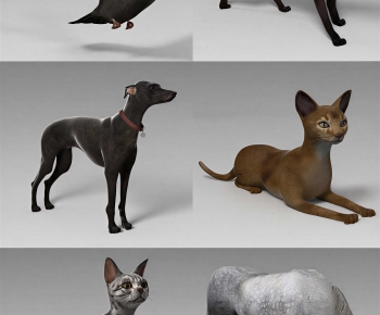 Modern Animal Cat-ID:624241116