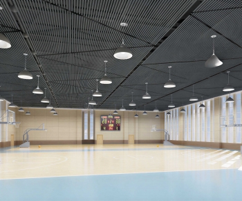 Modern Basketball Arena-ID:803519967