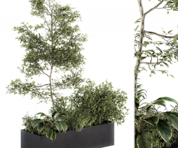 Modern Flower Bed, Flower Bowl, Flower Box-ID:380705121