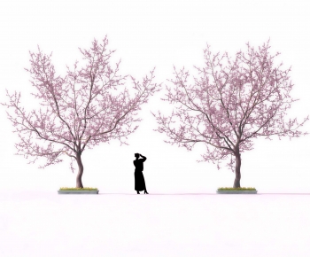 Modern Tree-ID:658651116